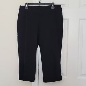 Dana Buchman Stretch Pull On Crops/Capri Size Large